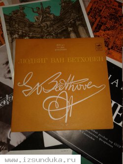 Виниловые пластинки 