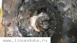 Находка