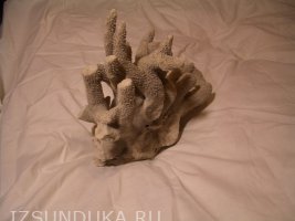 Коралл