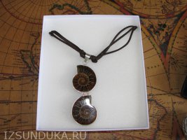 Окаменевшая ракушка 