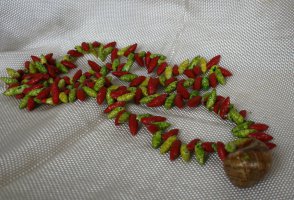 Бусы из ракушек