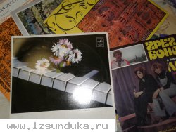 Виниловые пластинки 