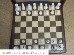 Шахматы из кости  мамонта