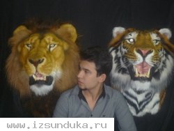 Берберийский лев