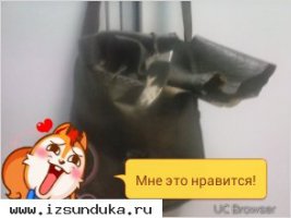 сумка ручной работы, из слоновей кожи.