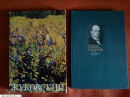 С.Ю.Жуковский